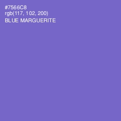 #7566C8 - Blue Marguerite Color Image